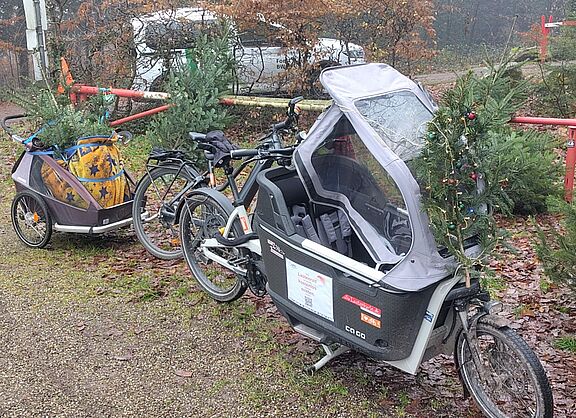 Baumtransport mit Lastenrad